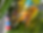 Screenshot 2025-12-27 at 9.54.23 PM