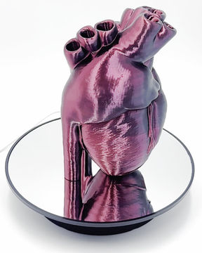 Thumbnail: Anatomical Heart Vase