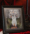 RCBattleFrames-10.jpg