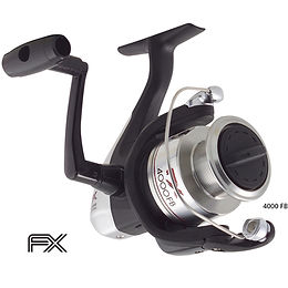 FX 