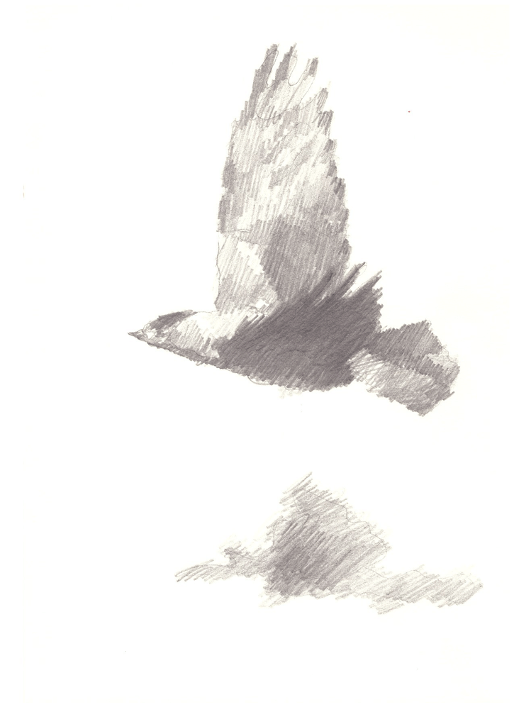 NO.1970(The time of Kairos_Flying), GIF, loop animation, 2022.gif