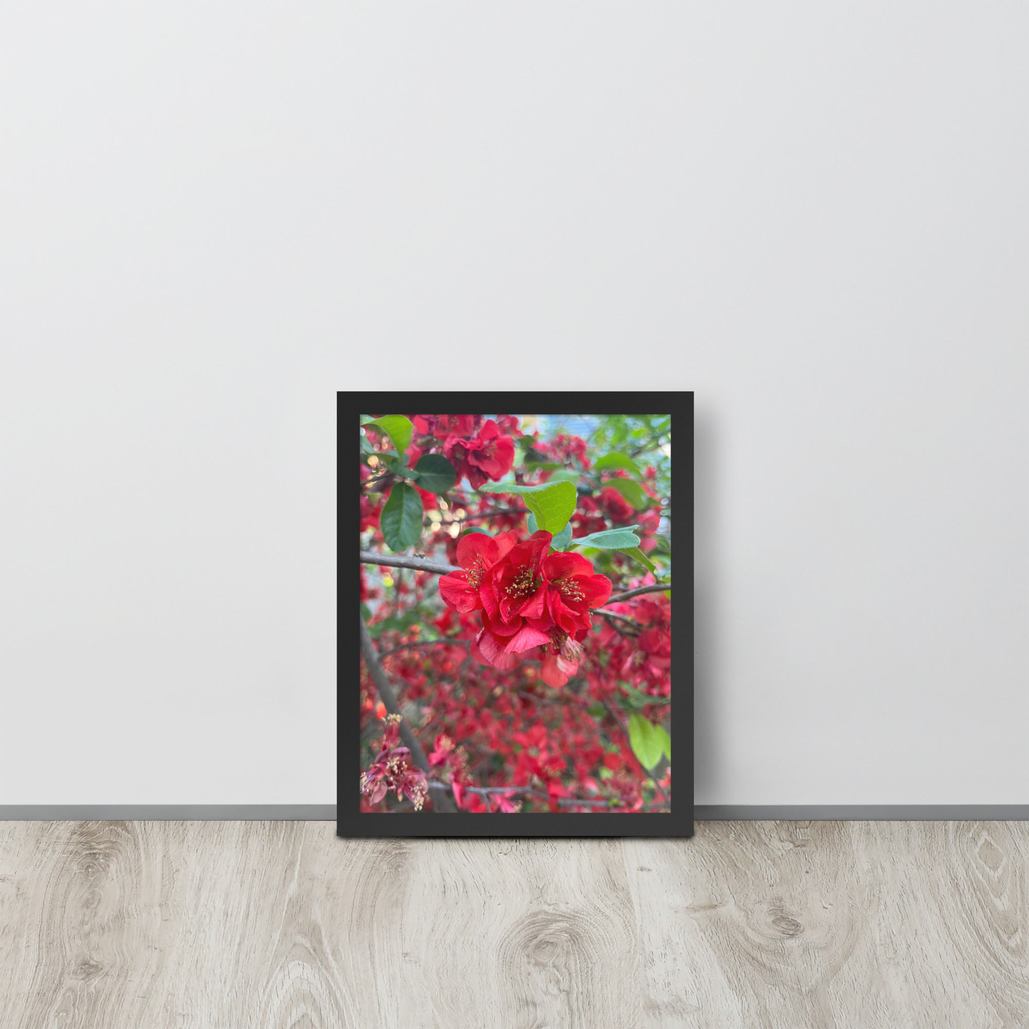 Framed photo paper poster