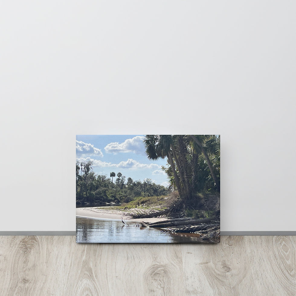 Thumbnail: Florida river bank thin canvas