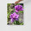 Thumbnail: Photo paper poster