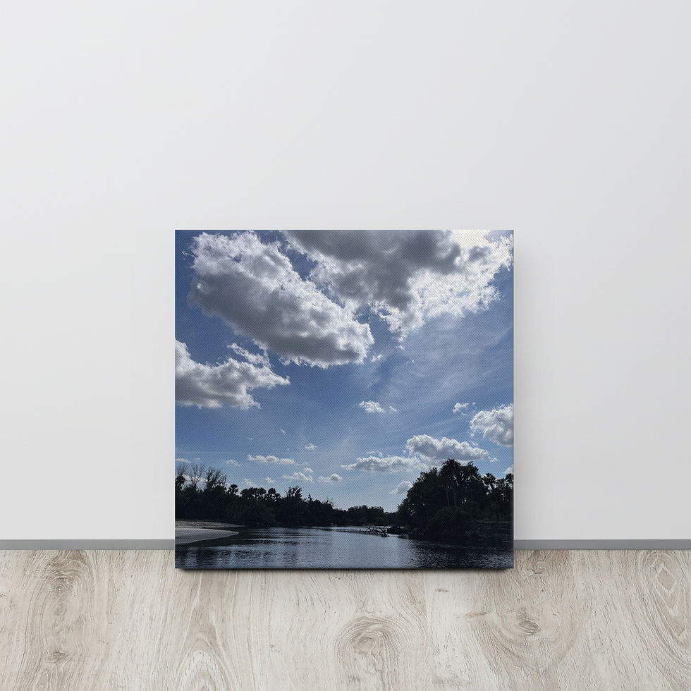 Thumbnail: Swamp sky thin canvas