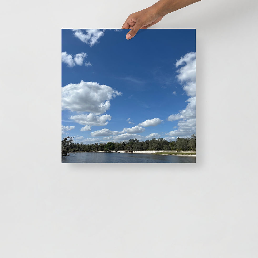 Thumbnail: Florida swamp photo paper poster