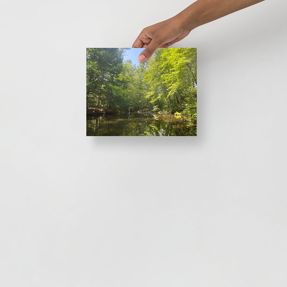 Thumbnail: Maine photo paper poster