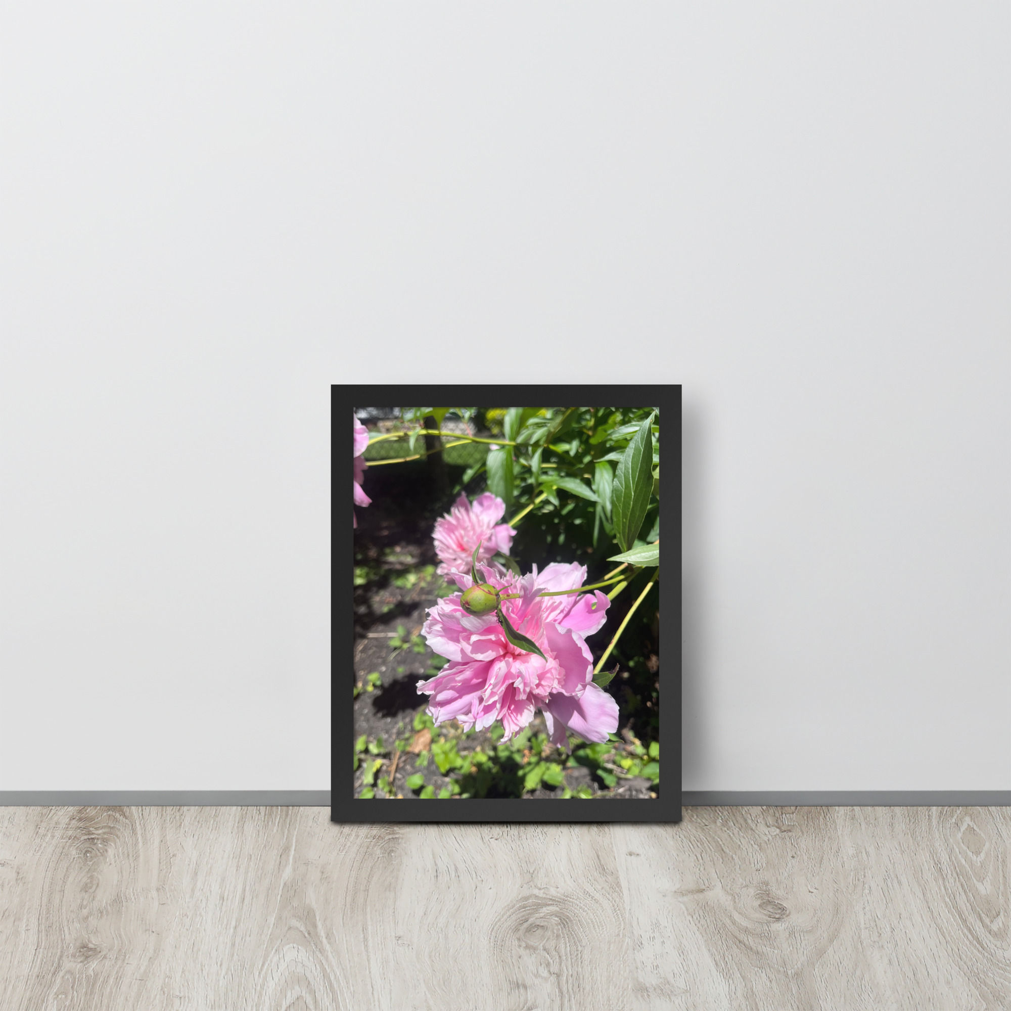 Framed photo paper poster