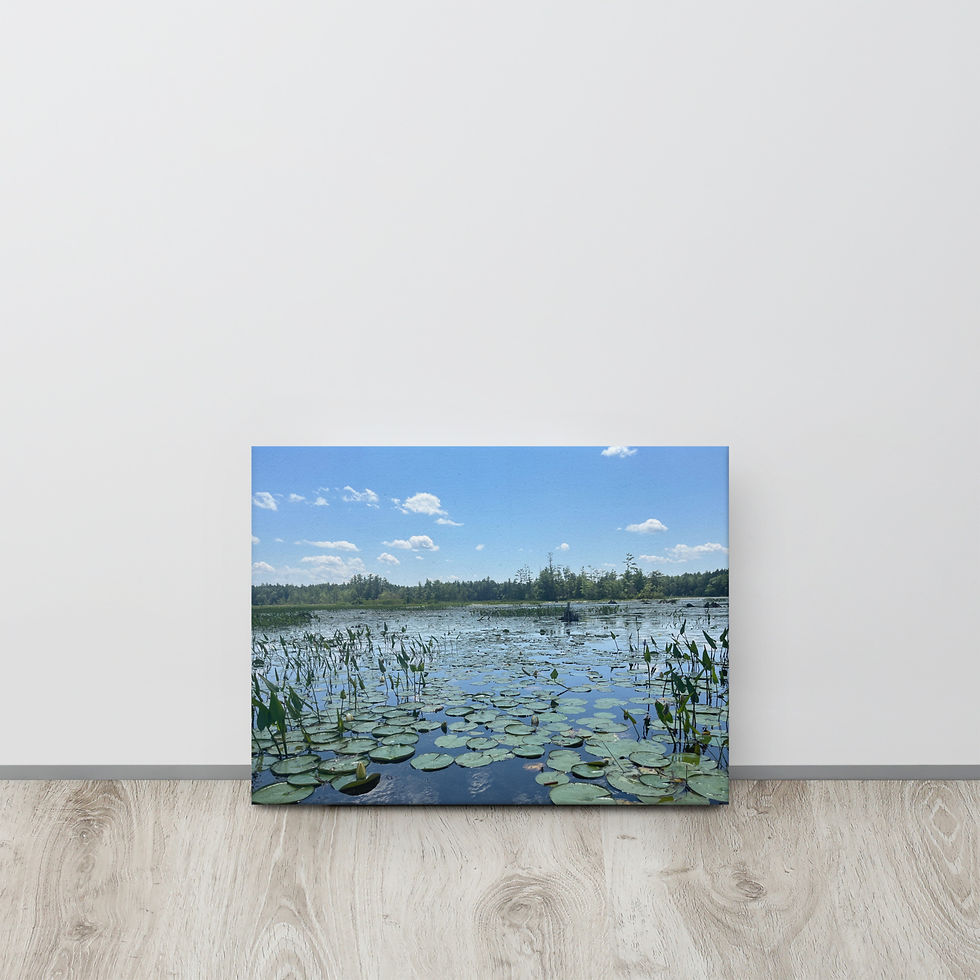 Thumbnail: Lake Life thin canvas