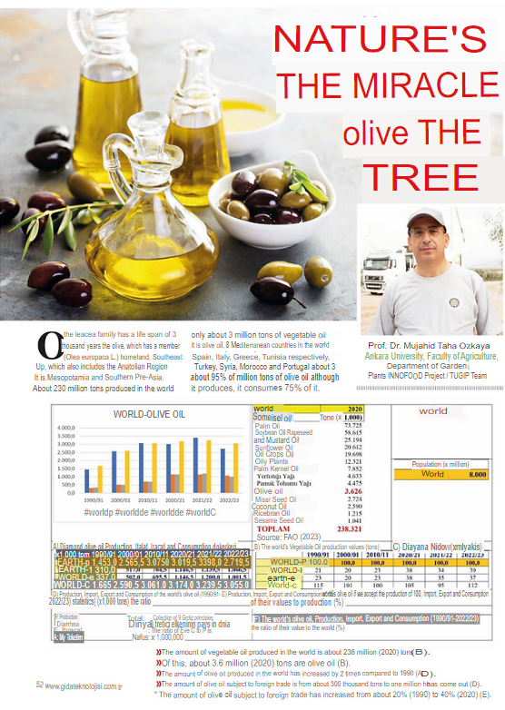 S1 - GIDA TEKNOLOJİSİ - Doğanın Mucizesi Zeytin Ağacı