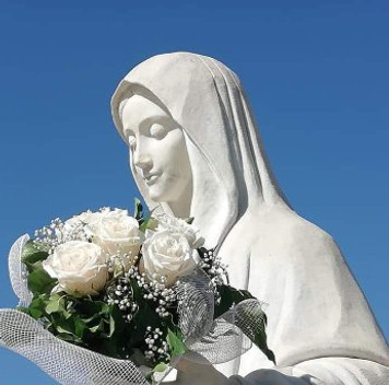 1530011673139.jpg