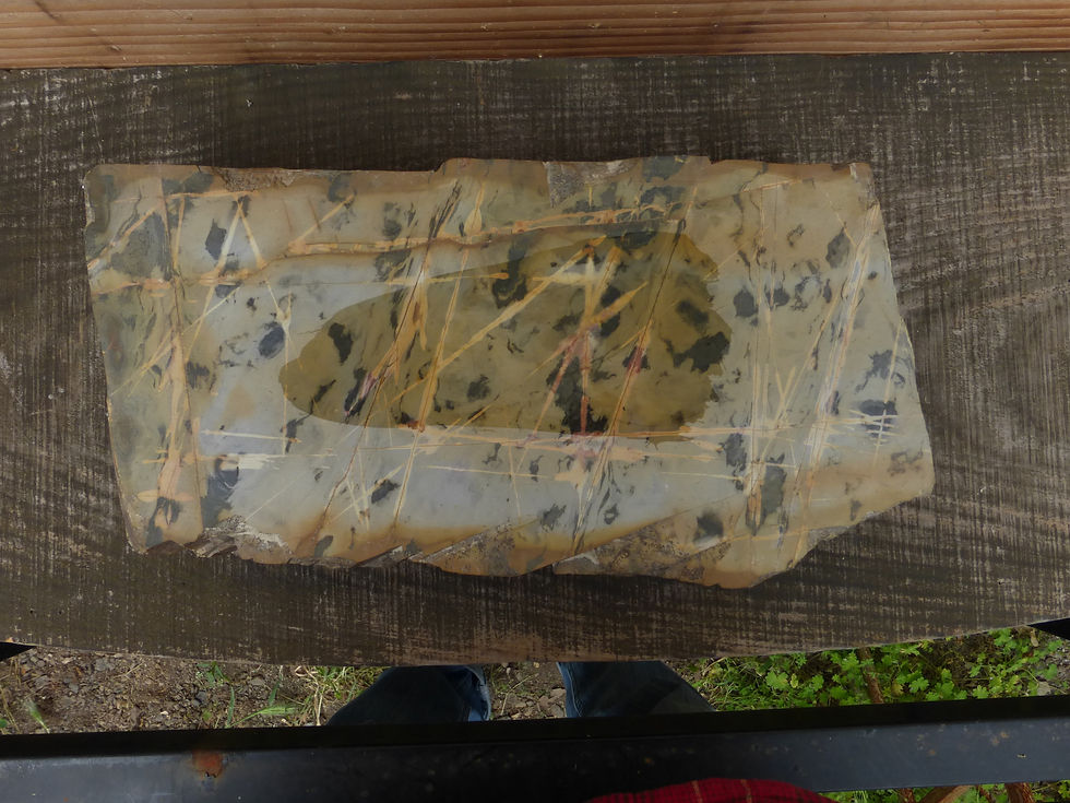 Thumbnail: #2200 Nakayama Karasu