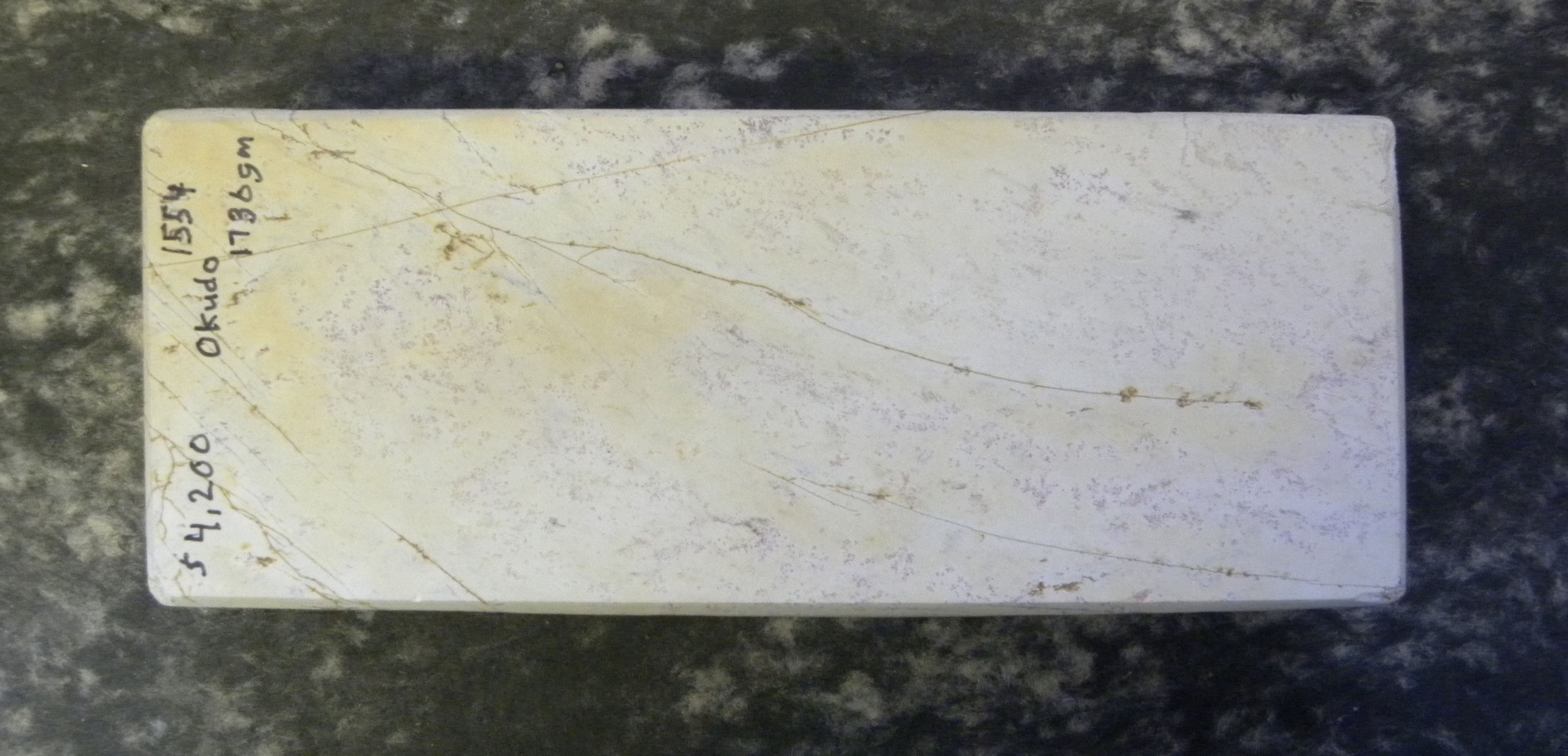 #1554 Okudo shiro suita tennen toishi