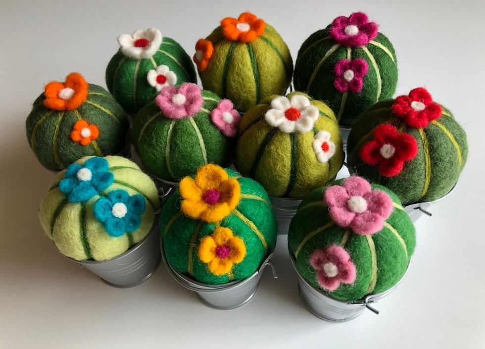 Miniatura: Cactus