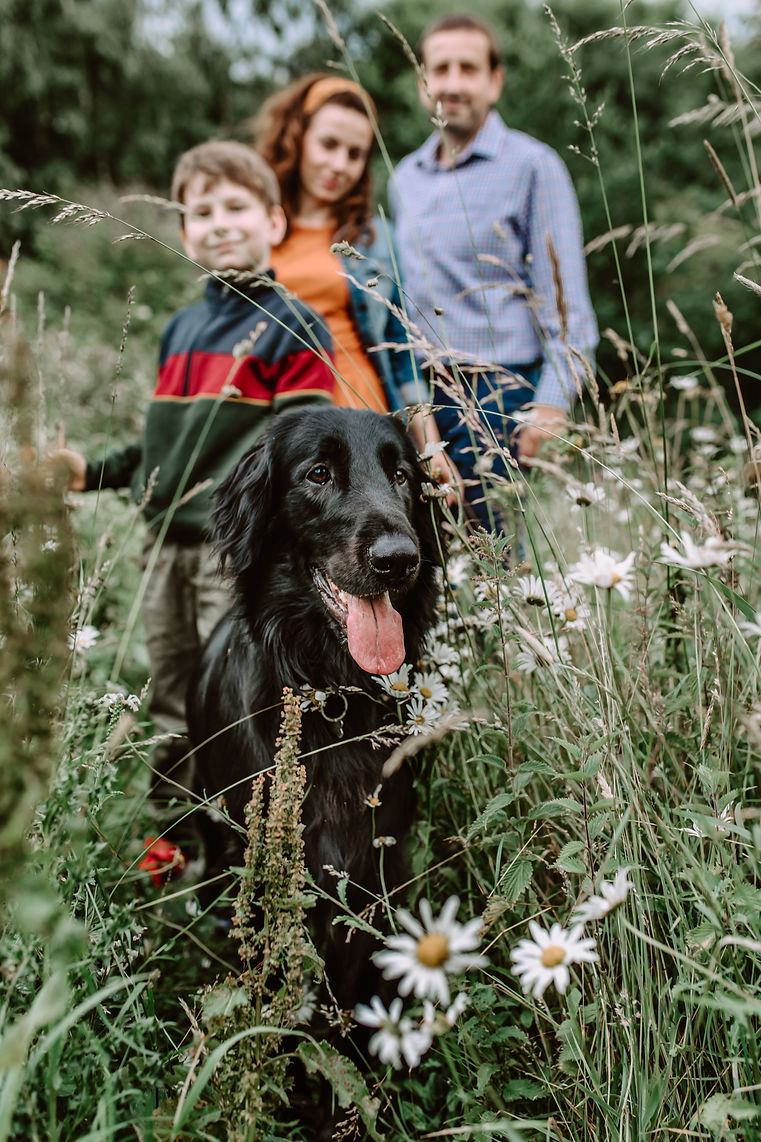 pes dog training Solihull UK evamurkopho