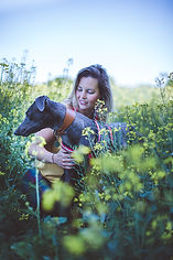 Greyhound training pesd dogtraining Pete