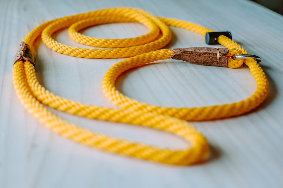 Thumbnail: Slip lead/PREMIUM/PRO dog training leash/8mm PPM rope with push button stopper