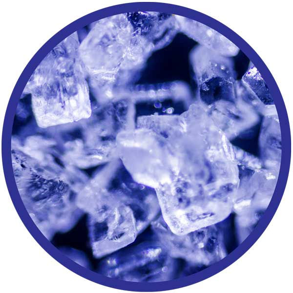 Thumbnail: 450X Microscope