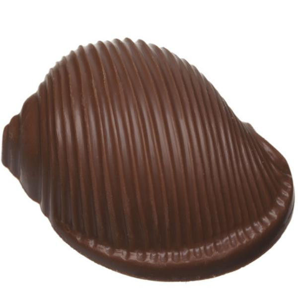 Seashell Praline Milk