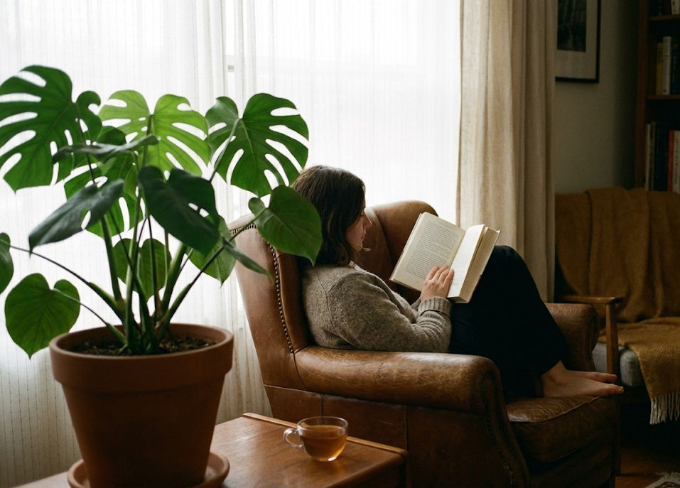 4 ต้นไม้สายอึด ที่เกิดมาเพื่อ 'บ้านแสงน้อย' โดยเฉพาะ