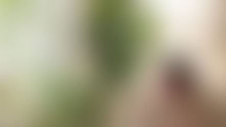 คนมือเย็นปลูกต้นไม้เติบโตดี: ความจริงหรือแค่คำเปรียบเปรย?