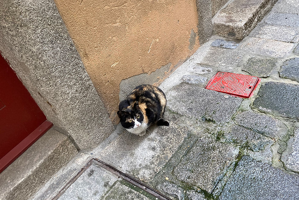 IMG_0573.jpeg