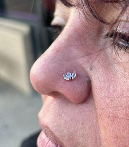 beautiful jewelry including diamonds on a nose stud