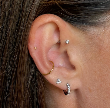 tasteful selection of ear piercings including gemstones