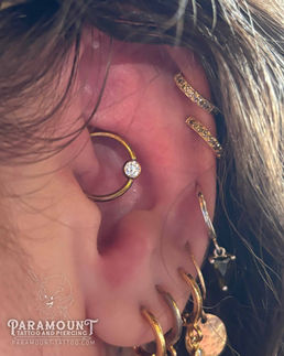 multiple gold earring hoops and a diamond daith piercing in fort worth