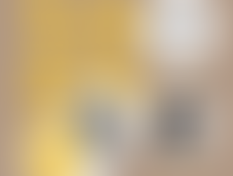 一位有危機意識基督徒的『預備哲學』