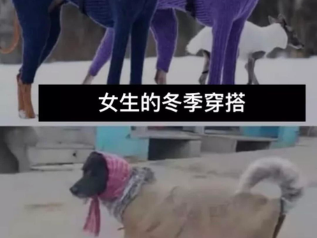 那些不合時宜的性教導——關於女性穿著