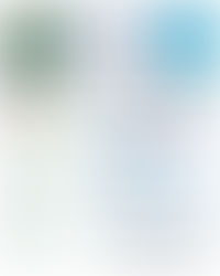 FSSC 22000 - Árvore Decisão Maio 2025