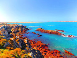 BALEAL