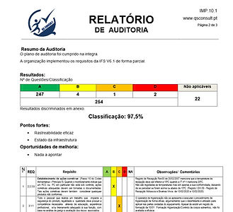 Audit_Report_Print.jpg