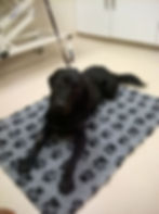 12022401_908232195914396_695647689989929