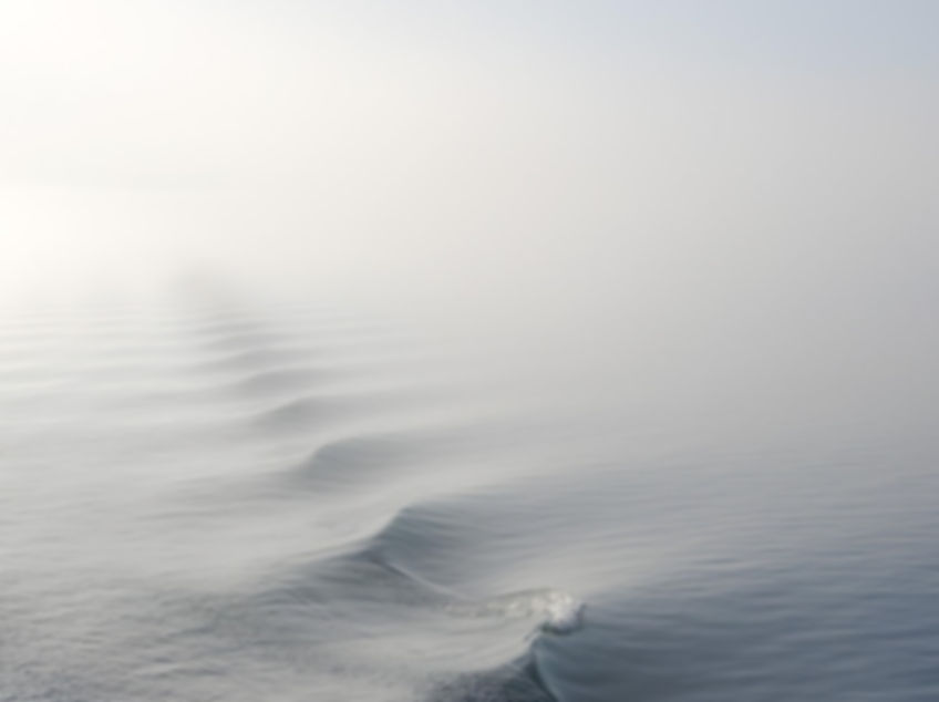 fog-1868416_1280.jpg
