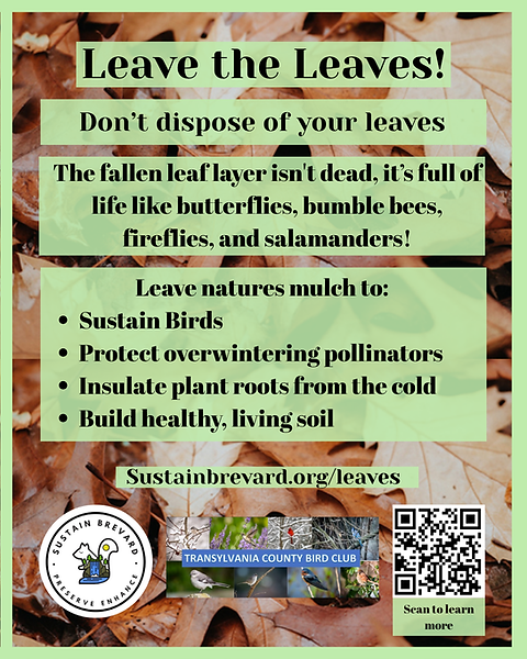 Leave the Leaves!.png