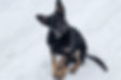 _MG_5189_edited.jpg