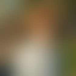 Unleash Your Creativity with the Fujifilm X-T5: A Revolutionary Mirrorless Camera