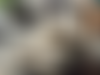 Electroménager occasion, notre avis.