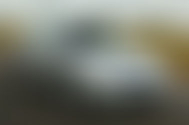 Πληροφορίες - Αλλαγή μορφής της Πράσινης Κάρτας