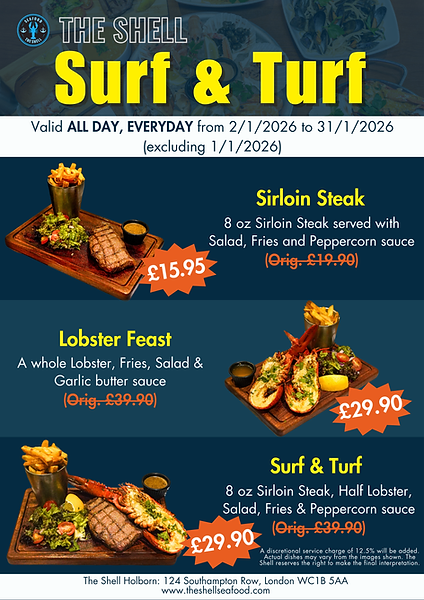 November promotions 副本-62.png