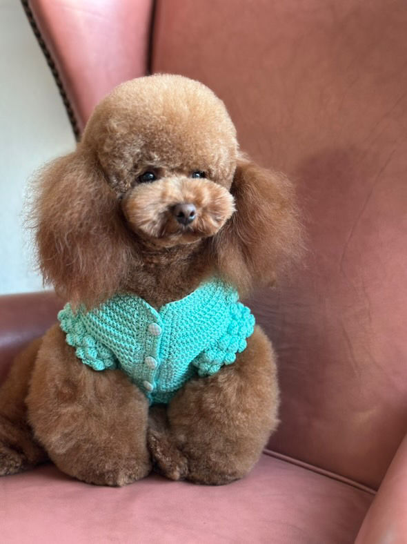 Thumbnail: Bubbles Sweater
