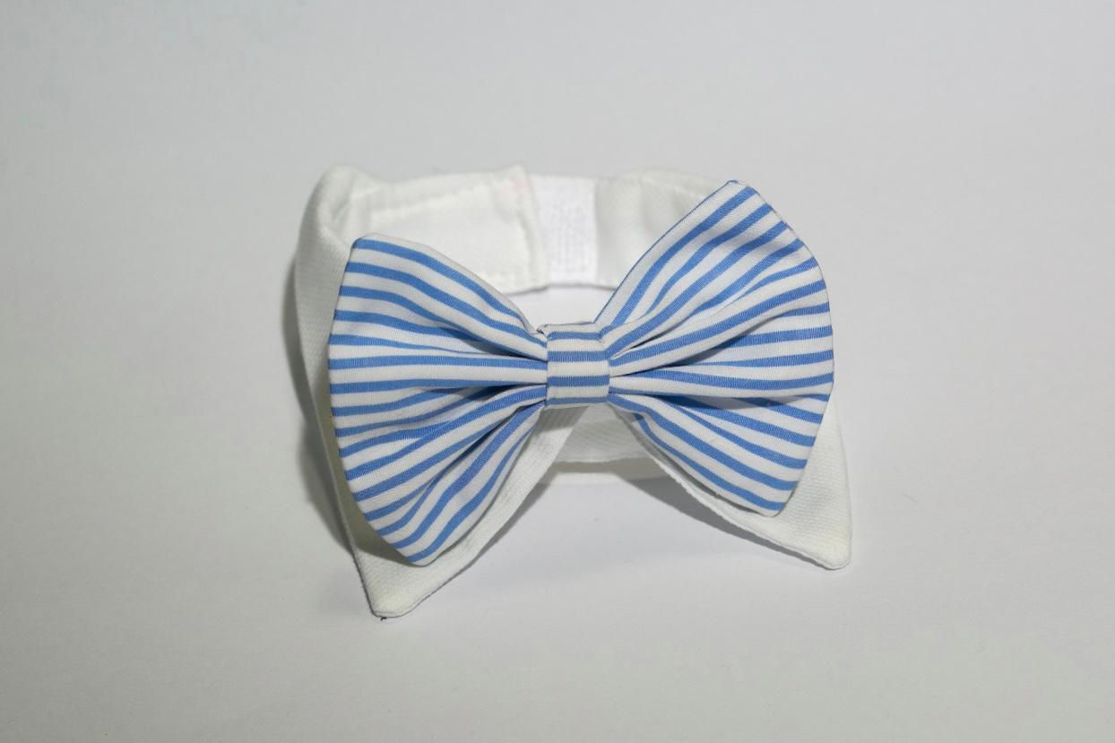 Pablo Shirt Collar Cotone