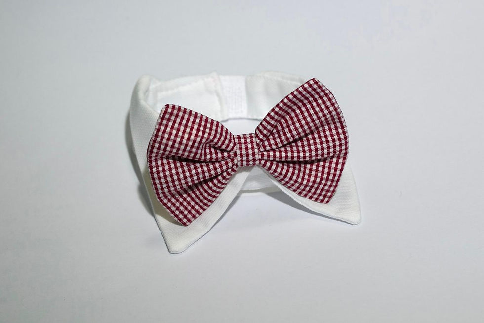 Miniatura: Pablo Shirt Collar Cotone