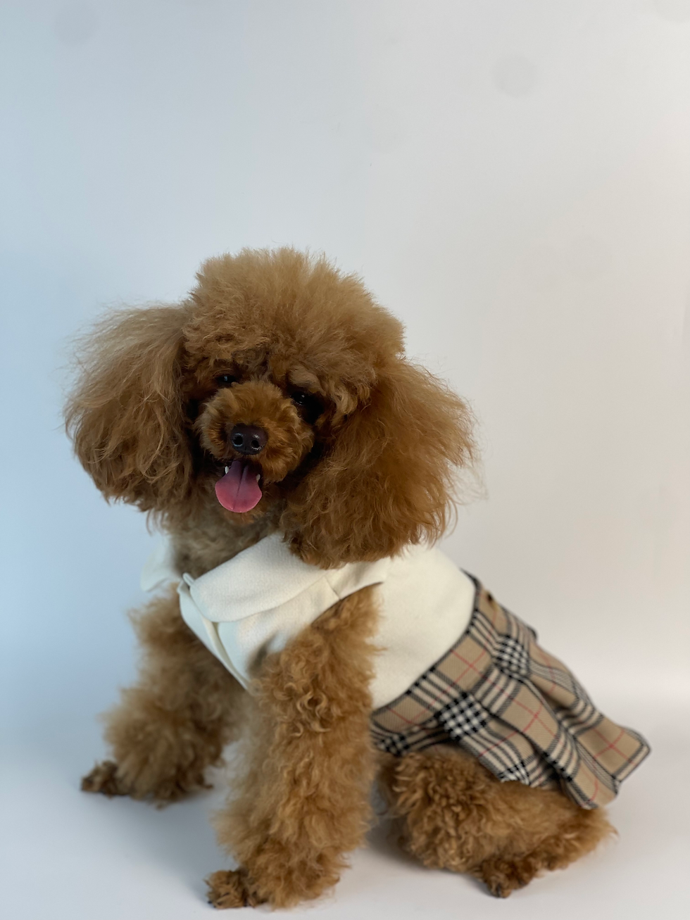 Thumbnail: Kilt Dress