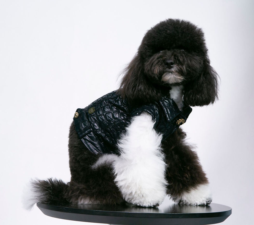 Thumbnail: Margaux Jacket