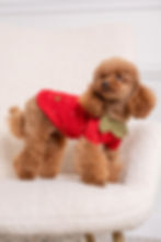 Miniatura: Fragolina Sweater