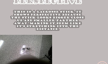 lax stick copy.jpg