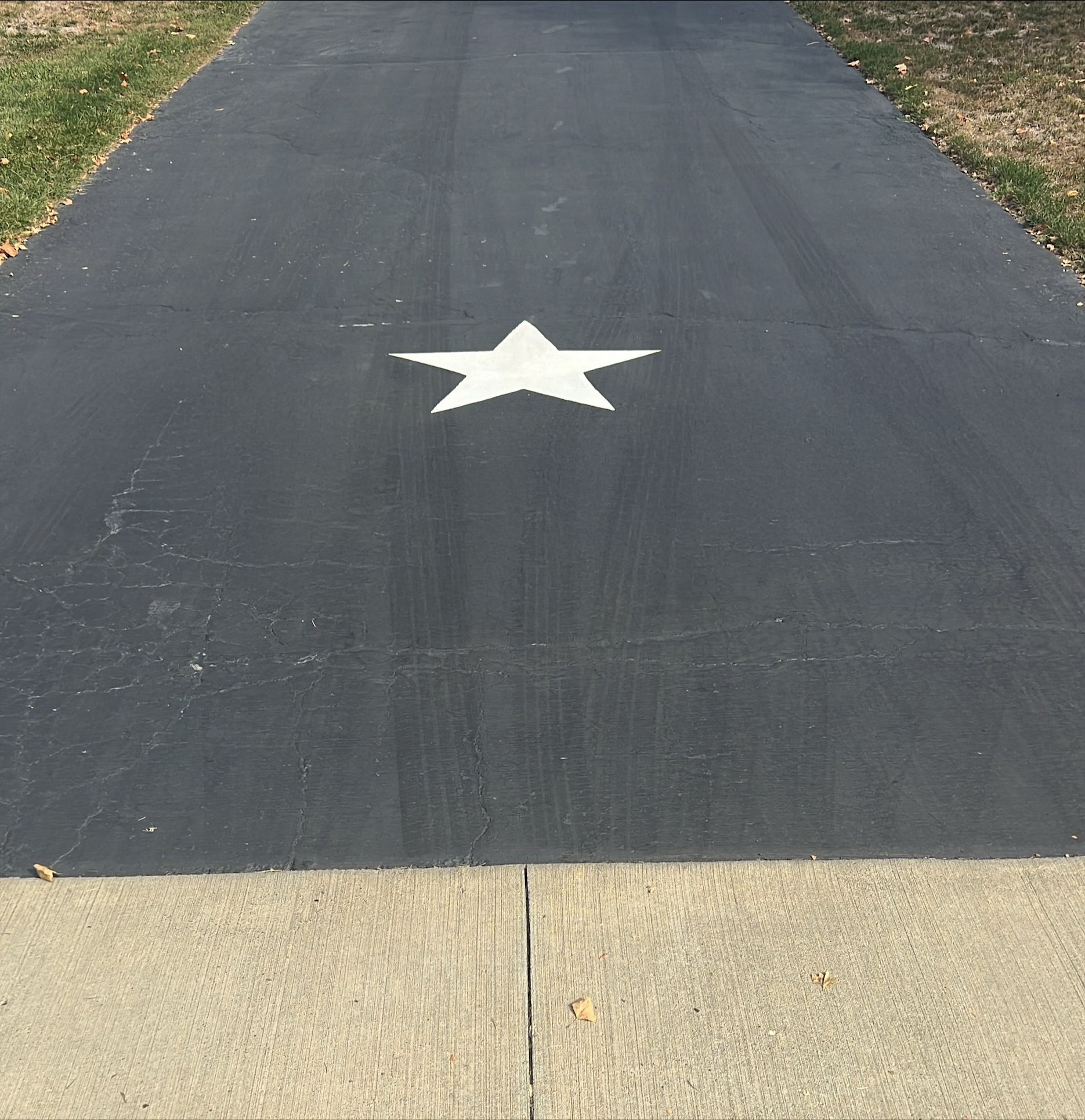 Driveway Single Star in Red, White or Blue